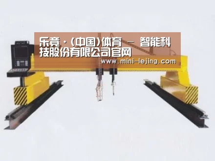 产品名称十九