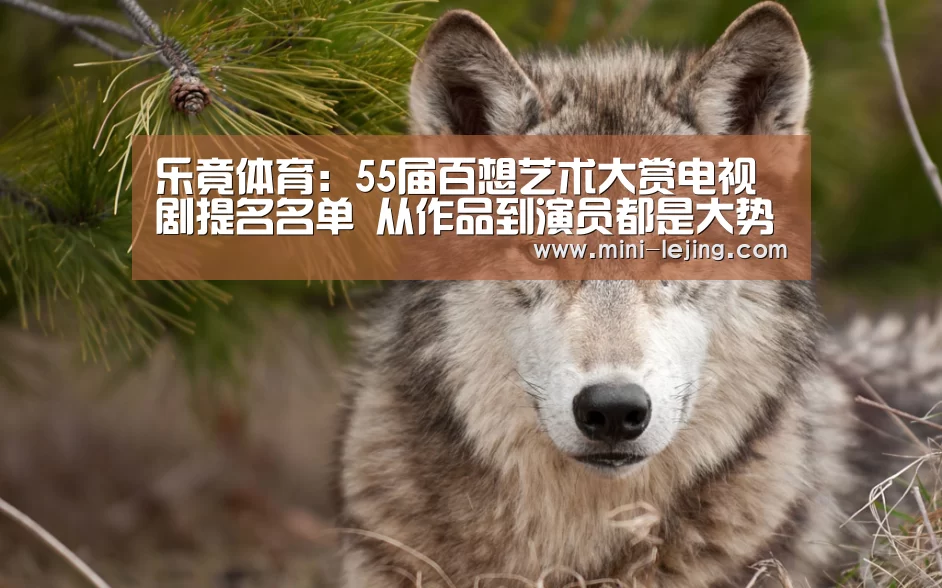 乐竟官方网站