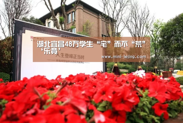湖北宜昌48万学生“宅”而不“荒”‘乐竟’
